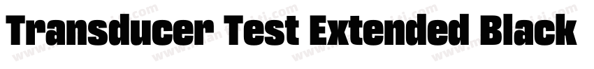Transducer Test Extended Black字体转换